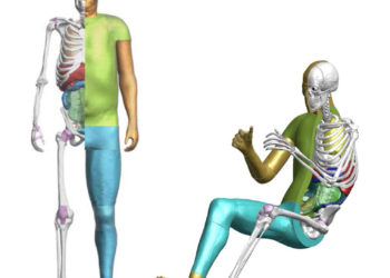 โตโยต้า เปิดซอฟต์แวร์ THUMS เทคโนโลยีจำลองร่างกายมนุษย์แบบเสมือนจริงให้ใช้ได้ฟรี