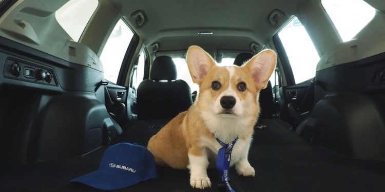 ลูกค้าซูบารุสุดเซอร์ไพรส์ เมื่อเห็นผู้ช่วยที่ปรึกษาการขายรายนี้!!!