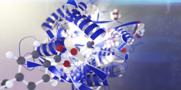 ‘มิชลิน’ ผนึกกำลัง ‘คาร์ไบโอส์’ มุ่งพัฒนายางล้อที่ยั่งยืน 100%