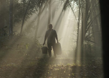 ปอร์เช่ และมิชลิน สนับสนุนเกษตรกรชาวสวนยางพาราในประเทศอินโดนีเซีย