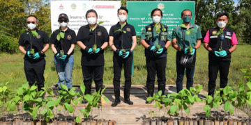 มิตซูบิชิเดินหน้าโครงการ ‘ปลูกป่า 60 ปี 60 ไร่’ ปลูกต้นไม้ 40 ไร่ เพิ่มพื้นที่สีเขียวให้ป่าชุมชนบ้านนางาม จ.สระแก้ว