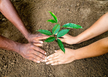 มิชลิน ได้คะแนนสูงสุดในการประเมินผล SPOTT ประจำปี 2564