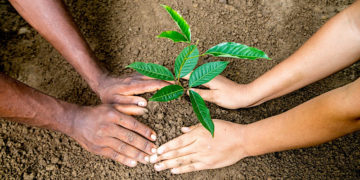 มิชลิน ได้คะแนนสูงสุดในการประเมินผล SPOTT ประจำปี 2564