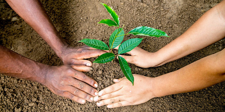 มิชลิน ได้คะแนนสูงสุดในการประเมินผล SPOTT ประจำปี 2564