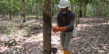 มิชลิน เข้าซื้อหุ้นเพิ่มอีก 51% ใน ROYAL LESTARI UTAMA