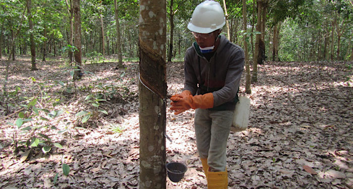 มิชลิน เข้าซื้อหุ้นเพิ่มอีก 51% ใน ROYAL LESTARI UTAMA