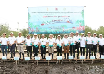โตโยต้า ปลูกป่าชายเลน 60,000 ต้น ต่อยอดโครงการ โตโยต้า ครบรอบ 60 ปี ปลูกป่า 600,000 ต้น เดินหน้าสู่เป้าหมายสร้างความเป็นกลางทางคาร์บอน