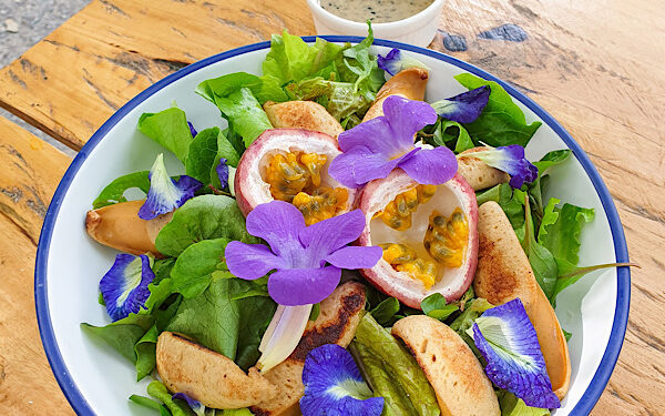 ‘มิชลิน ไกด์ ประเทศไทย’ ประกาศรายชื่อร้านอาหารคว้าสัญลักษณ์ ‘บิบ กูร์มองด์’ ประจำปี 2566