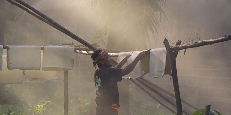 ‘มิชลิน’ ได้รับการจัดอันดับเป็นผู้ผลิตยางรถยนต์ที่ครองอันดับหนึ่ง ในการประเมินด้านการเปิดเผยข้อมูลต่อสาธารณะของภาคอุตสาหกรรมยางธรรมชาติ