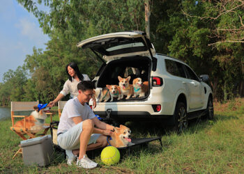 ผจญภัยกับสัตว์เลี้ยงแสนรัก ฉลอง Love Your Pet Day ด้วยฟอร์ด เอเวอเรสต์ แพลทินัม